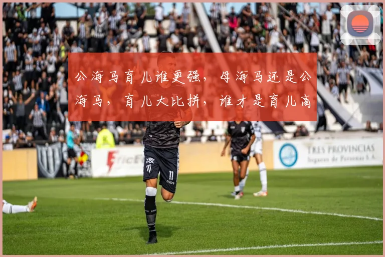 公海马育儿谁更强，母海马还是公海马，育儿大比拼，谁才是育儿高手