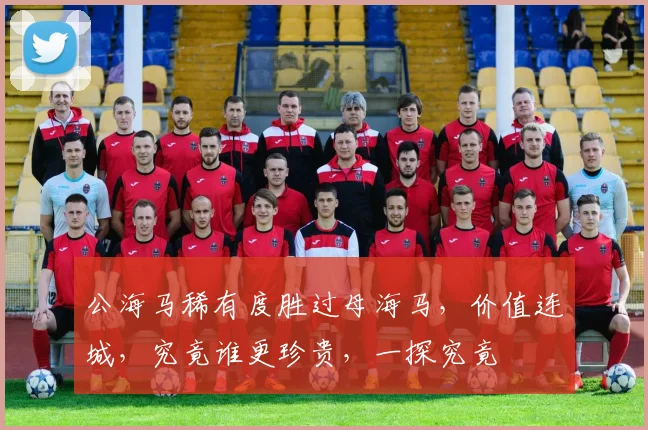 公海马稀有度胜过母海马，价值连城，究竟谁更珍贵，一探究竟