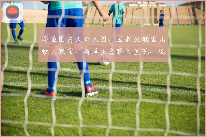 海鱼图片大全大图，五彩斑斓鱼儿映入眼帘，海洋生态瞬间呈现，观赏必备