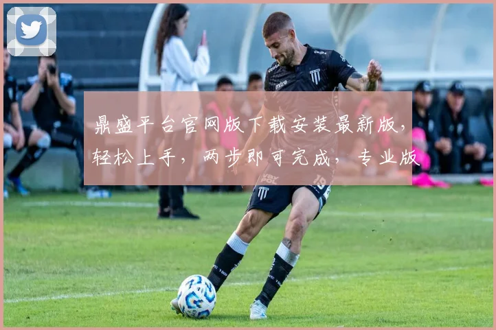 鼎盛平台官网版下载安装最新版，轻松上手，两步即可完成，专业版优先获取