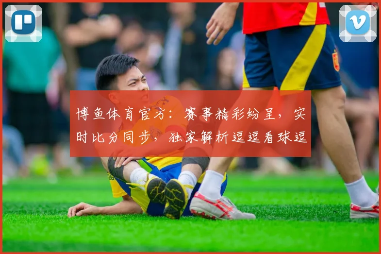 博鱼体育官方：赛事精彩纷呈，实时比分同步，独家解析逗逗看球逗逗乐