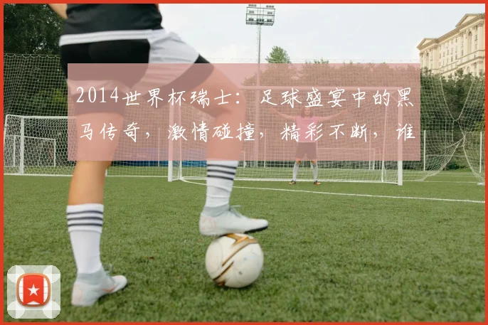 2014世界杯瑞士：足球盛宴中的黑马传奇，激情碰撞，精彩不断，谁将问鼎冠军